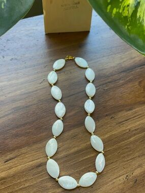 SHELL NECKLACE (gold)